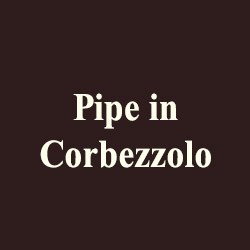 corbezzolo5
