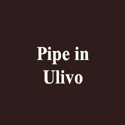 ulivo9